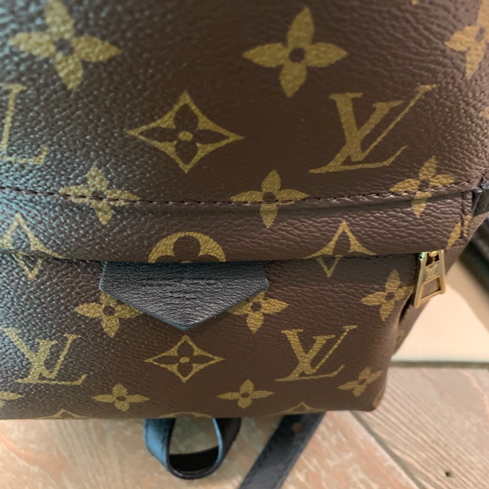 ❌SOLD❌WAITLISTED Louis Vuitton Palm Springs Backpa - Picture 3 of 8